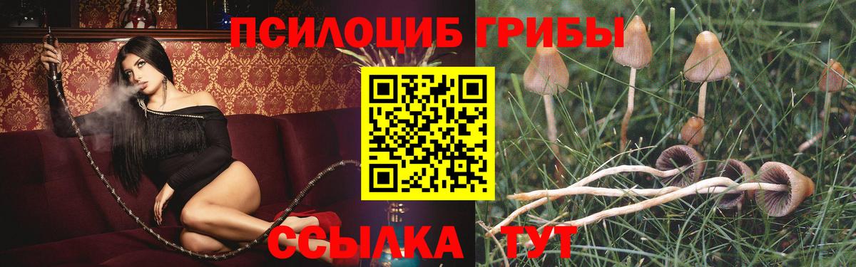 Псилоцибиновые грибы MAGIC MUSHROOMS Биробиджан
