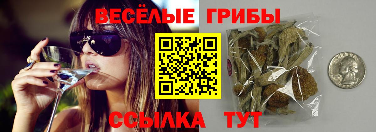 Биробиджан  Псилоцибиновые грибы мицелий  Вход с VPN 